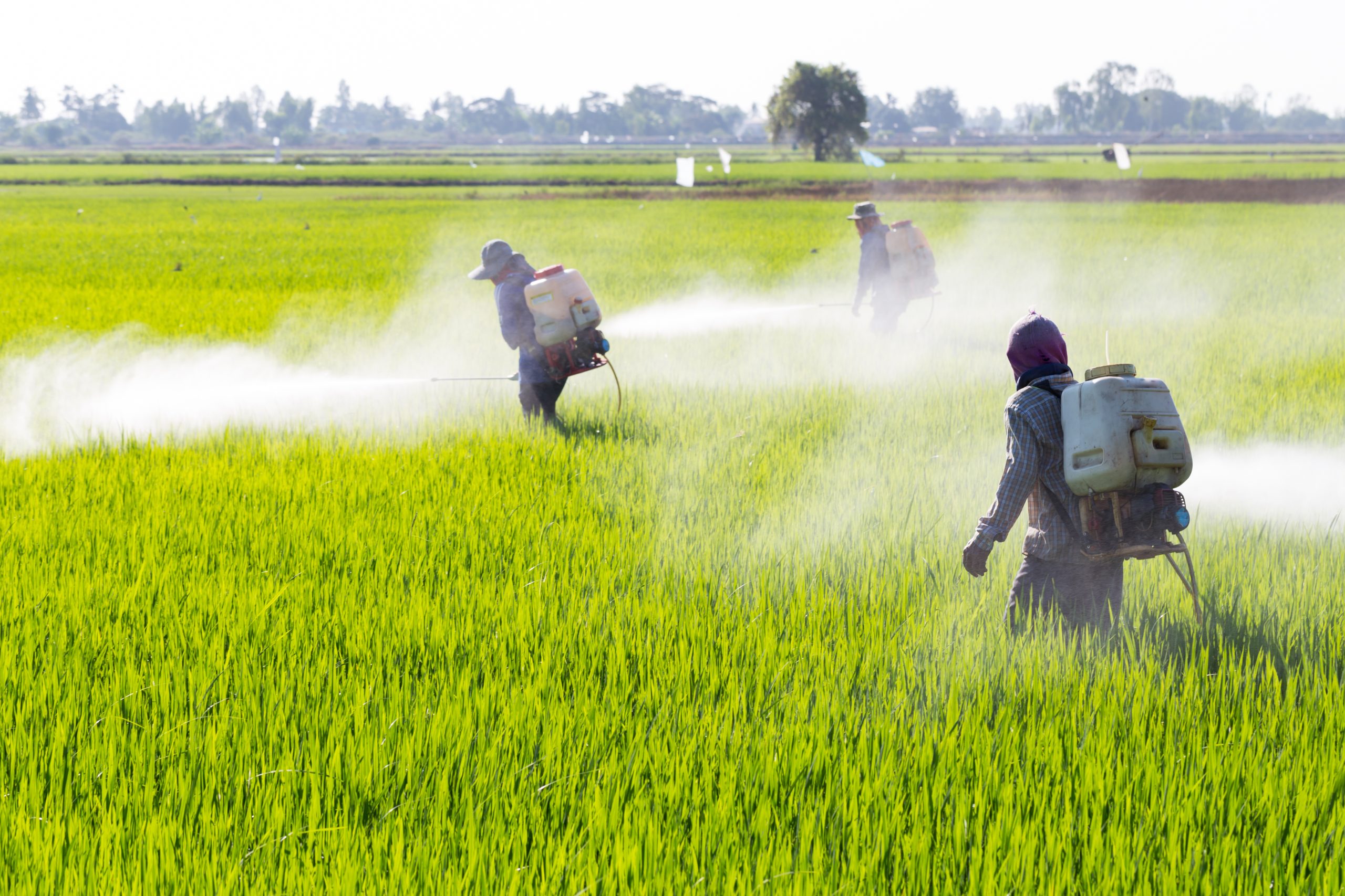 Countries All Over the World are Banning Atrazine. The U.S. Just Keeps Spraying.