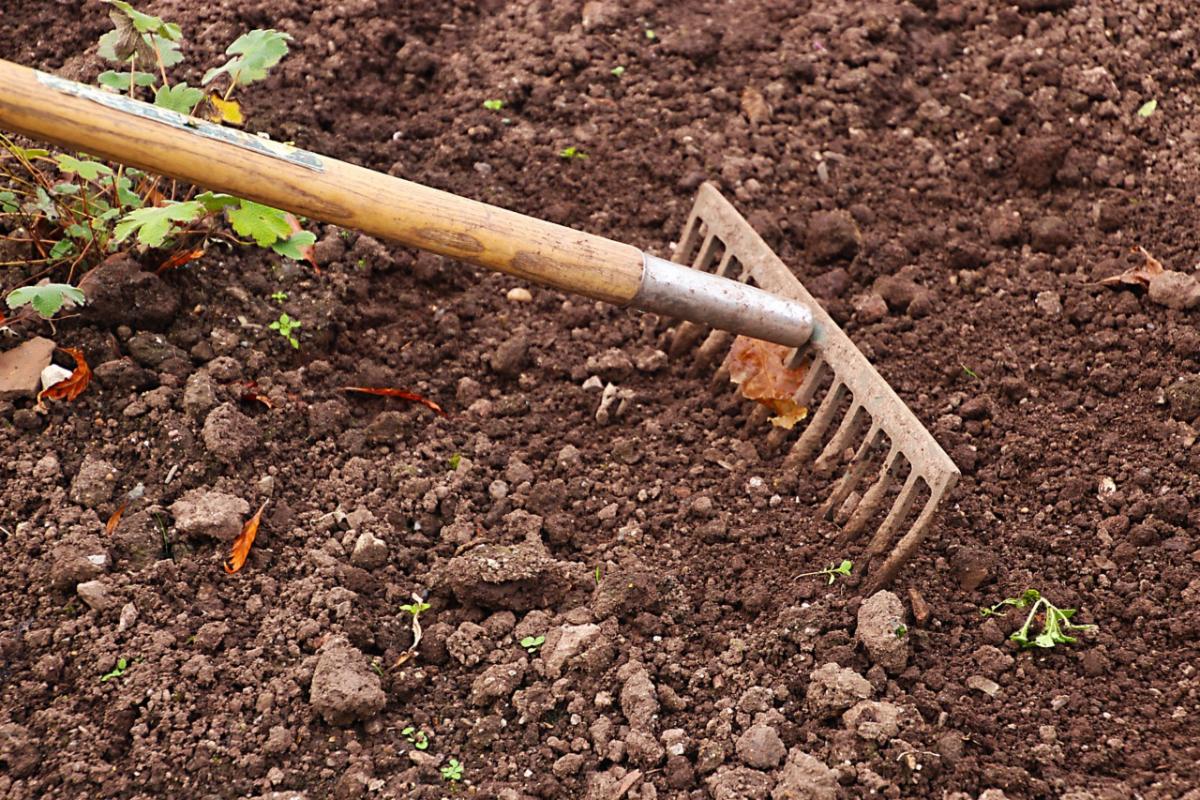 How To Get Soil Ready for Planting in the Spring